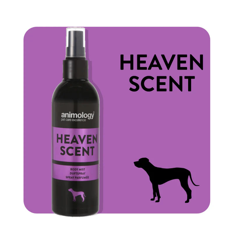 Perfume Animology Heaven Scent 150 ml