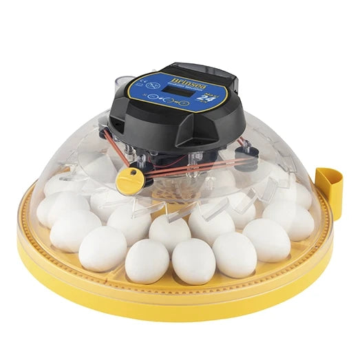 Incubadora Brinsea Maxi 24 PRO