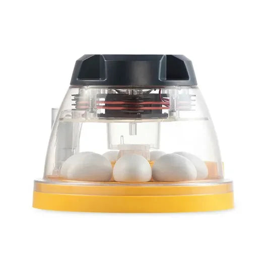 Incubadora Mini PRO EX