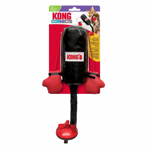 Kong Connects Boxe