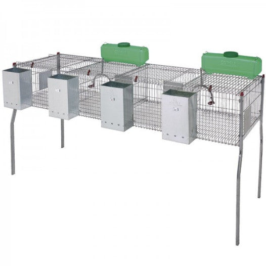 Jaula para Coelhos Penta 4 com 4 Divisões + Alicate