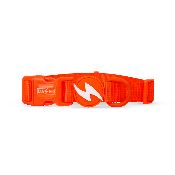Coleiras Dashi Neon