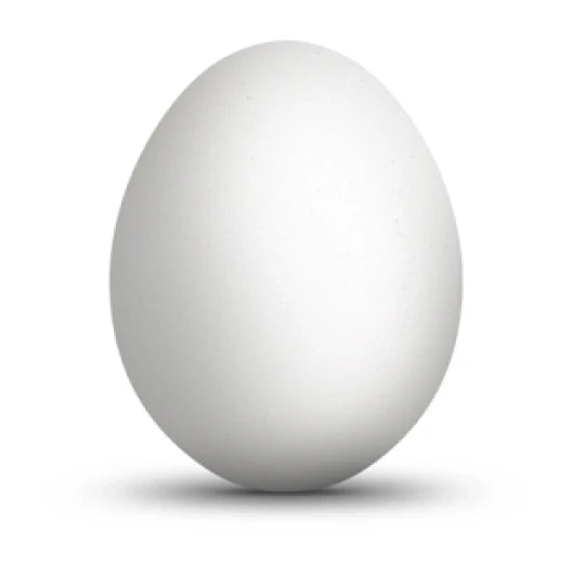 Ovo de galinha plástico - Index Branco