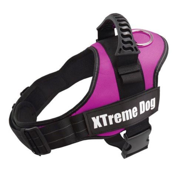 Arnês Xtreme Dog