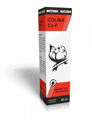 Avizoon Protetor Figado Colina