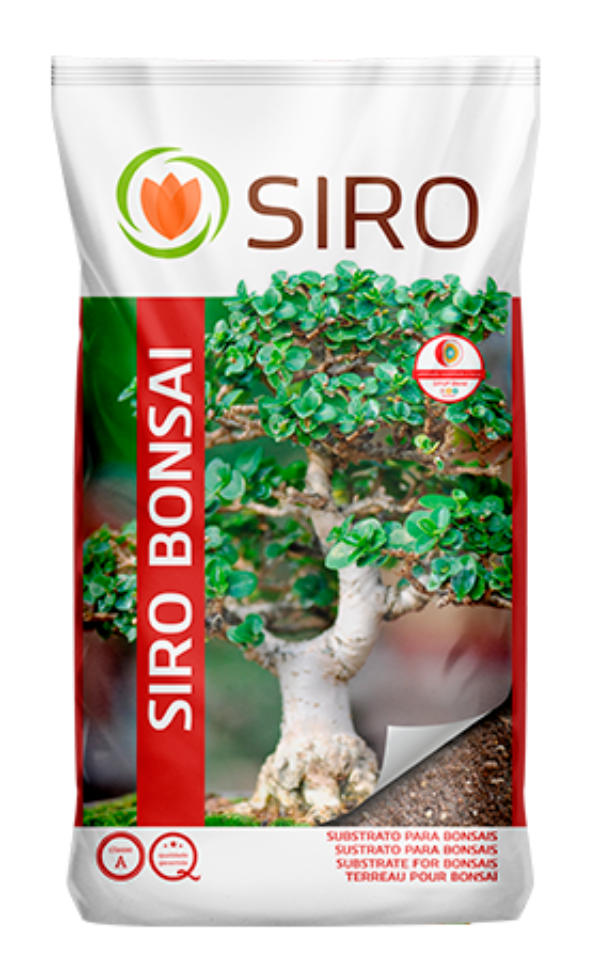 SIRO Bonsai 5 L
