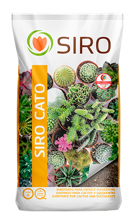 SIRO Cato