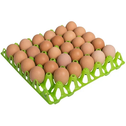 Tabuleiro em Plastico flex 30 ovos