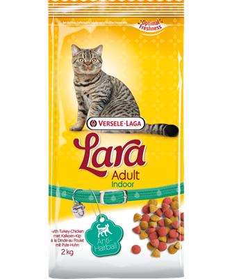 Lara Adult Indoor