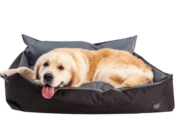 Cama Retangular Black