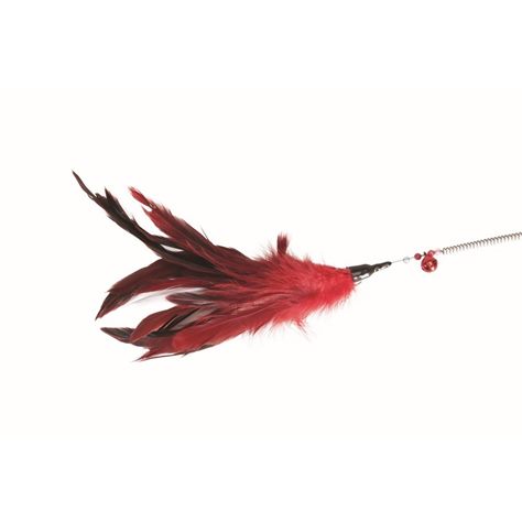 Varinha Gato Bellini Teaser 60 cm Camon