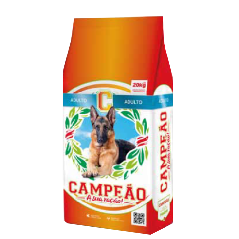 Perro adulto campeón