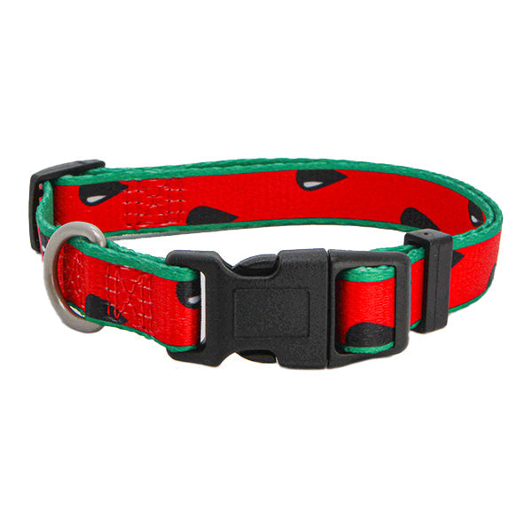 Coleira em Nylon Freedog