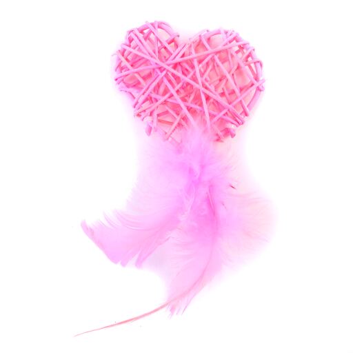 Brinquedo para Gato Coração Rosa com Plumas Freedog