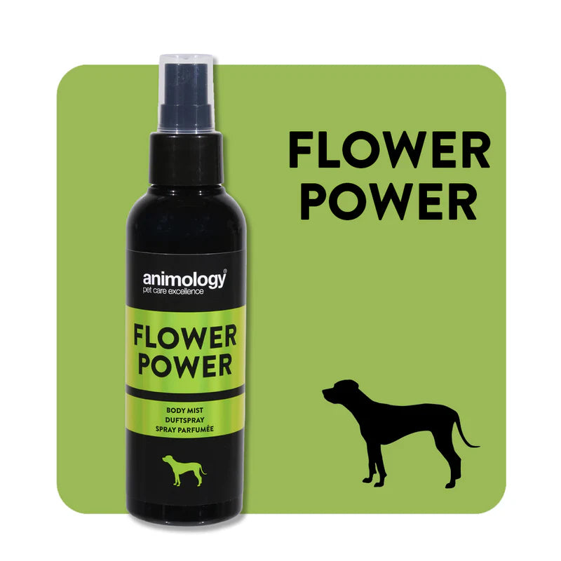 Perfume Animology Flower Power 150ml