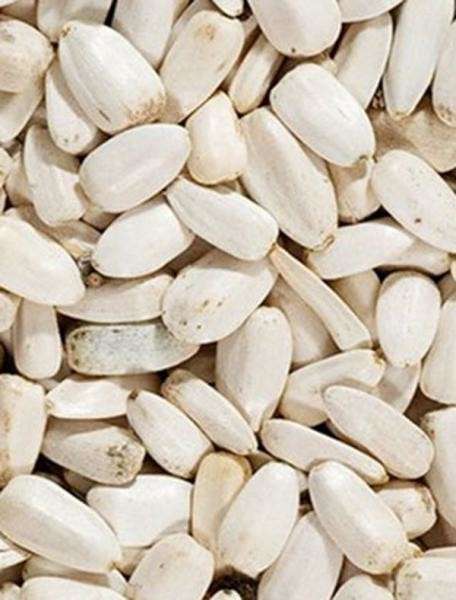 Semillas de girasol blancas 2 kg