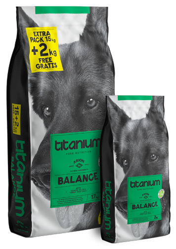 Arion Titanium Balance - VENDA E RECOLHA EXCLUSIVA EM LOJA FÍSICA