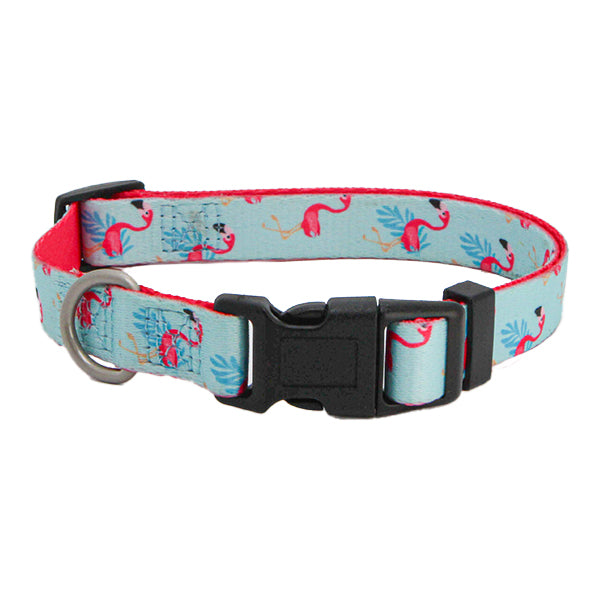 Coleira em Nylon Freedog