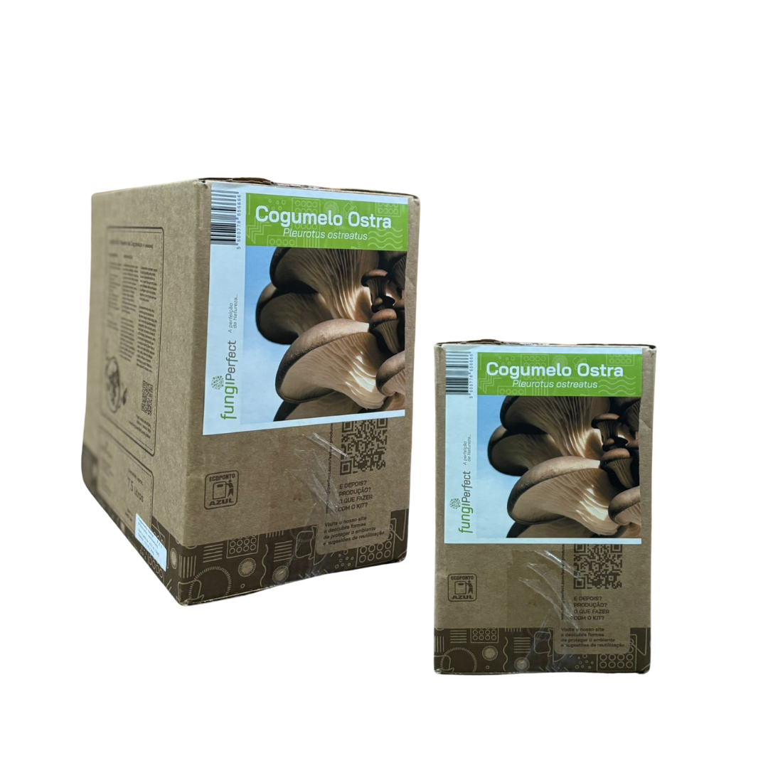 Kit Iniciante de Cogumelos Pleurotus Ostra 7kg Hobby
