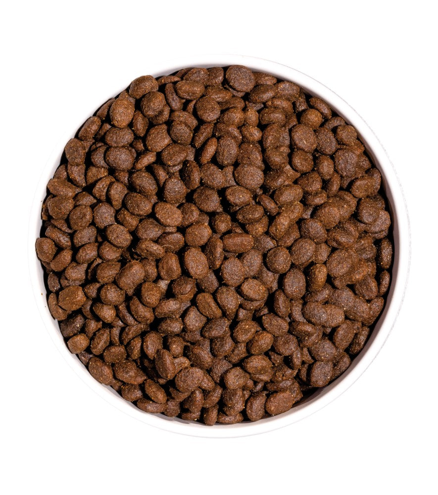 Ownat Cat Grain Free Prime Adult Pollo y Pavo