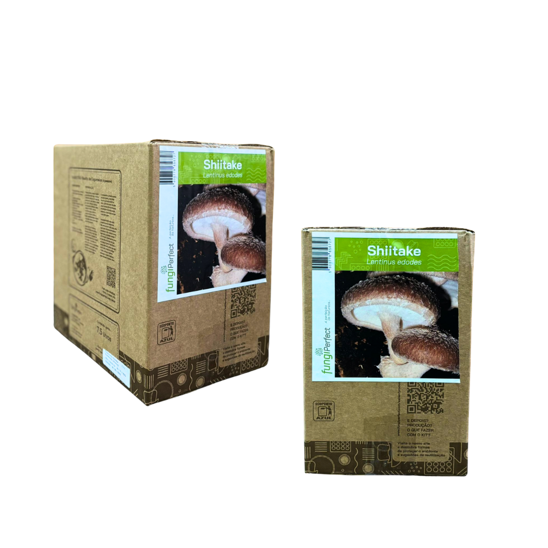 Kit Produção de Cogumelos Shiitake 7kg Hobby