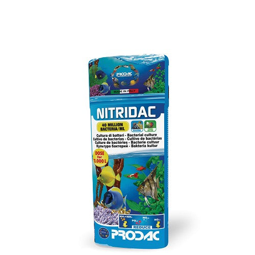 Nitridac 100 ml/12 Prodac