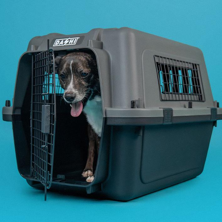 Dashi Travel Pet Carrier