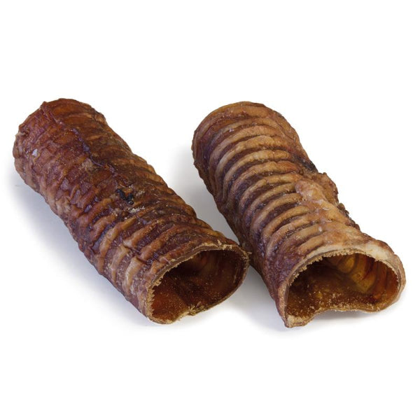 Snack Traqueia Arquivet