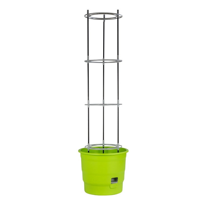 Vaso Trepadeiro com Reservatório 35cm