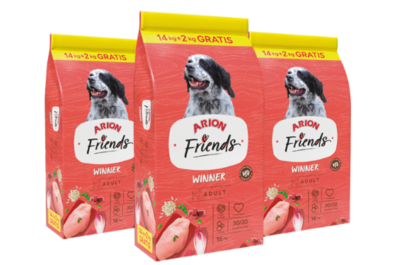 Arion Friends Winner