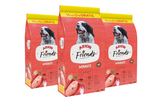 Arion Friends Winner